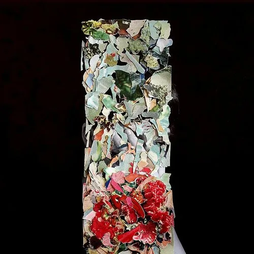 Foxtrott - A Taller Us vinyl record cover