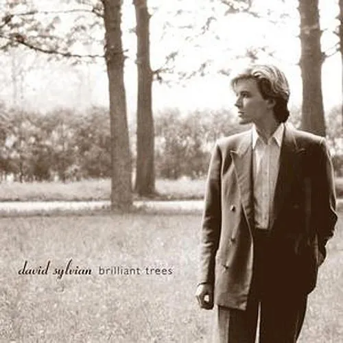David Sylvian - Brilliant Trees vinyl record cover