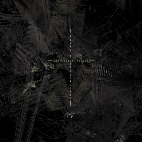 Gnaw Their Tongues - N.V. vinyl record cover
