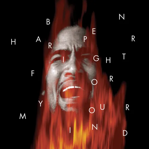 Ben Harper - Fight For Your Mind vinyl record cover