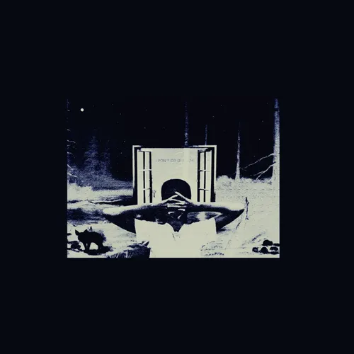 Earl Sweatshirt - I Don't Like Shit, I Don't Go Outside: An Album By Earl Sweatshirt vinyl record cover