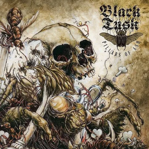 Black Tusk - Pillars of Ash vinyl record cover