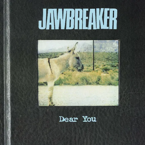 Jawbreaker - Dear You vinyl record cover