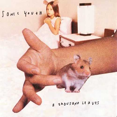Sonic Youth - A Thousand Leaves vinyl record cover