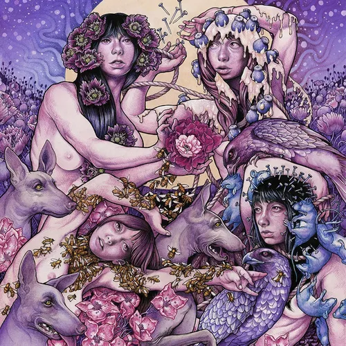Baroness - Purple vinyl record cover