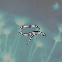 Bring On The Snakes