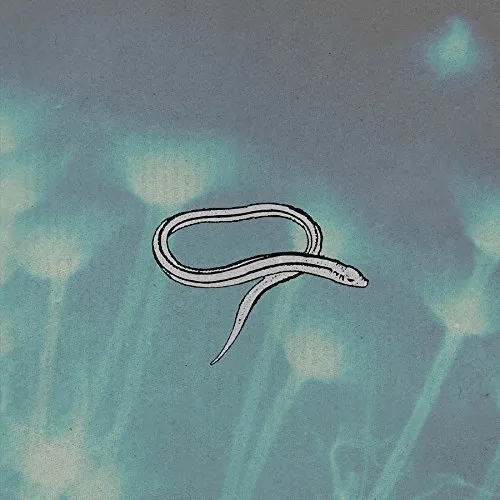 Crooked Fingers - Bring On The Snakes vinyl record cover