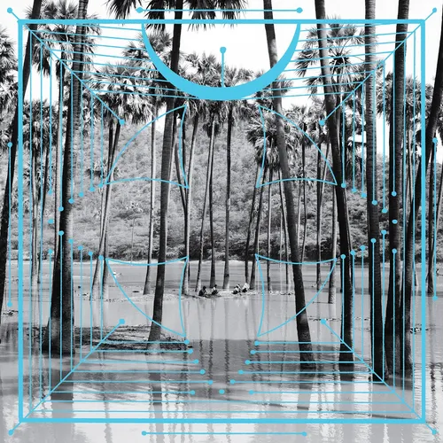 Four Tet - Pink vinyl record cover