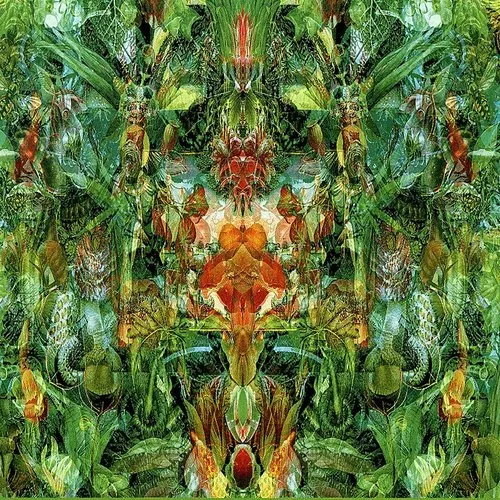 Bill Laswell - Always vinyl record cover