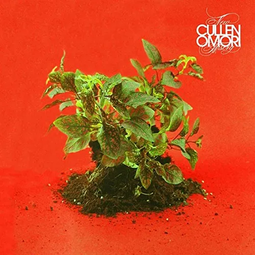 Cullen Omori - New Misery vinyl record cover