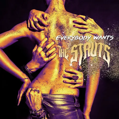 The Struts - Everybody Wants vinyl record cover