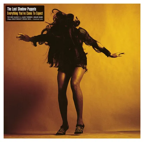The Last Shadow Puppets - Everything You've Come to Expect vinyl record cover
