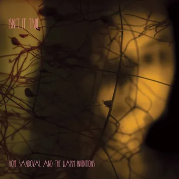 Hope Sandoval & The Warm 〜10inch EP Hope Sandoval And The Warm Inventions – Until The Hunter