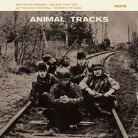 Animal Tracks