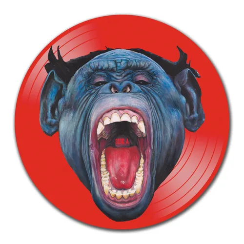 Puscifer - V is For Viagra vinyl record cover