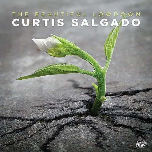 Curtis Salgado - The Beautiful Lowdown vinyl record cover