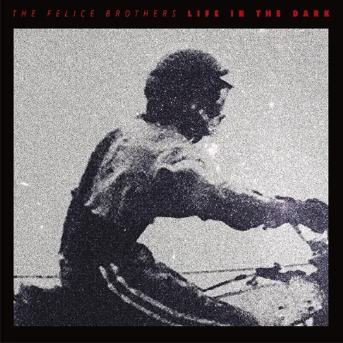 The Felice Brothers - Life In The Dark vinyl record cover
