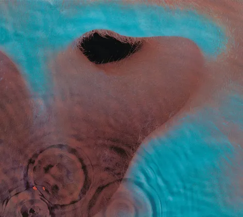 Pink Floyd - Meddle vinyl record cover