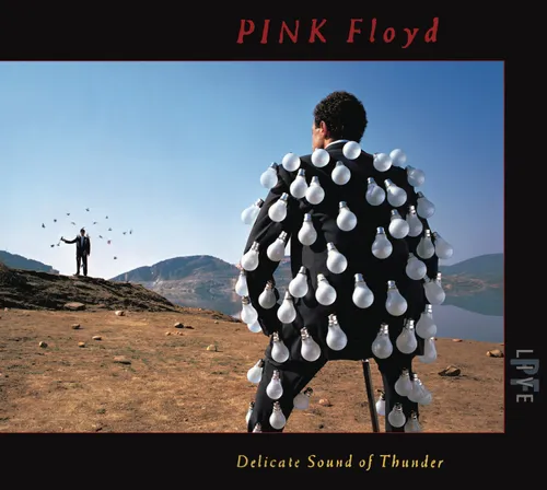 Pink Floyd - Delicate Sound Of Thunder (Uk) vinyl record cover