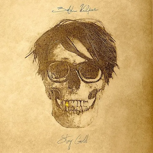 Butch Walker - Stay Gold vinyl record cover