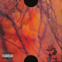 Blank Face LP