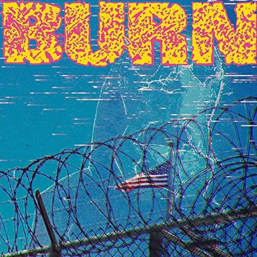 Burn - ...From the Ashes vinyl record cover