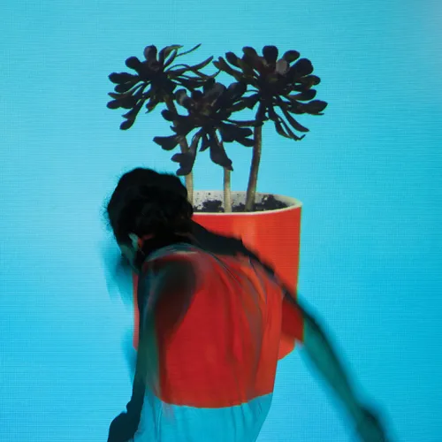 Local Natives - Sunlit Youth vinyl record cover