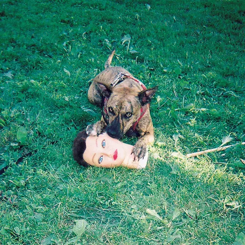 Joyce Manor - Cody vinyl record cover