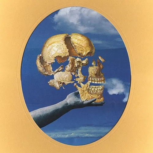 Sun Angle - Skullflower vinyl record cover