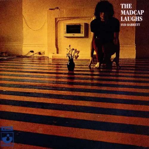 Syd Barrett - The Madcap Laughs vinyl record cover