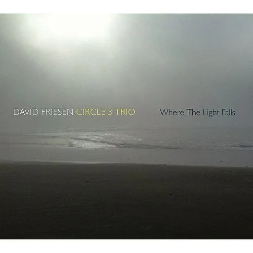 David Friesen & Circle 3 Trio - Where the Light Falls vinyl record cover