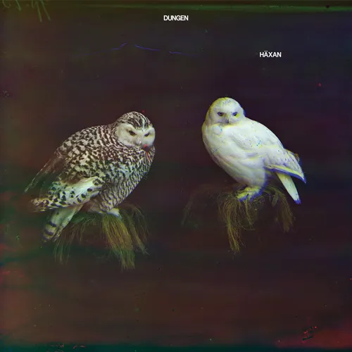 Dungen - Haxan vinyl record cover