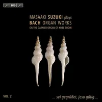 Organ Works 2