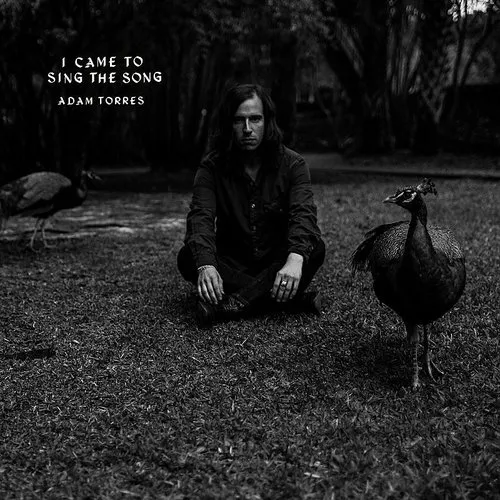 Adam Torres - I Came To Sing The Song EP vinyl record cover
