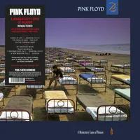 A Momentary Lapse of Reason