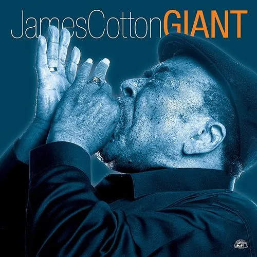 James Cotton - Giant vinyl record cover