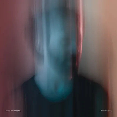 Peter Silberman - Impermanence vinyl record cover