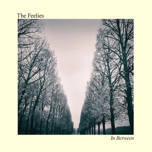 The Feelies - In Between vinyl record cover
