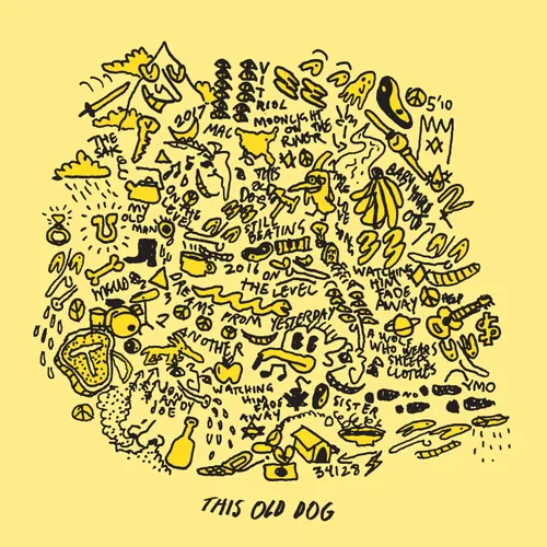 Mac DeMarco - This Old Dog vinyl record cover