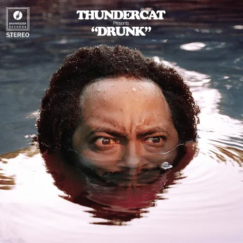 Thundercat - Drunk vinyl record cover