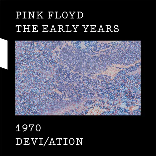 Pink Floyd - 1970 Devi/Ation vinyl record cover