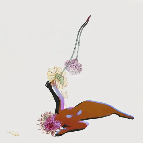 Future Islands - The Far Field vinyl record cover