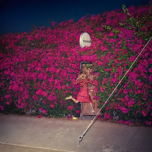 Feist - Pleasure vinyl record cover