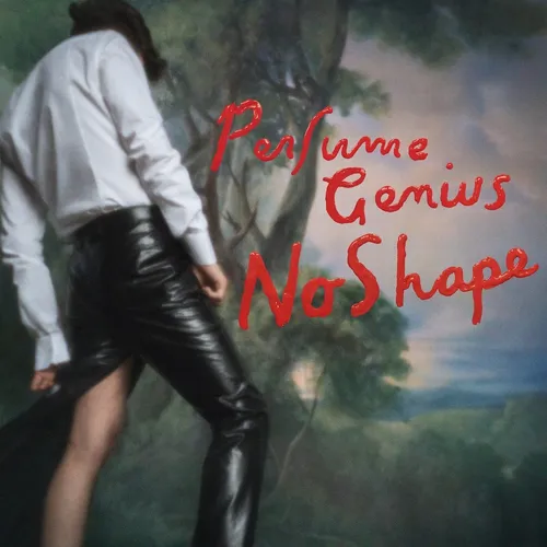 Perfume Genius - No Shape vinyl record cover