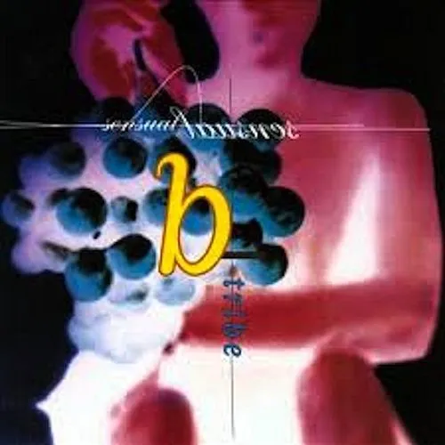 B-Tribe - Sensual Sensual vinyl record cover