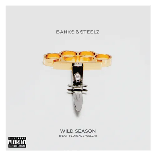 Artist - Wild Season (featuring Florence Welch) vinyl record cover