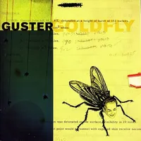 Goldfly