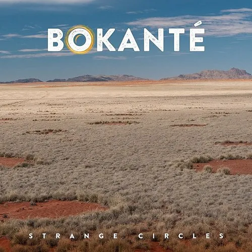 Bokanté - Strange Circles vinyl record cover