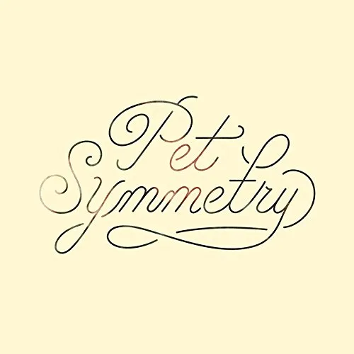 Pet Symmetry - Vision vinyl record cover