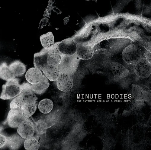 Tindersticks - Minute Bodies: Intimate World Of F. Percy Smith vinyl record cover